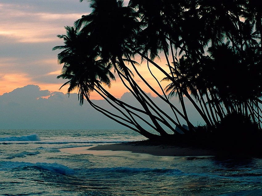 4S7LRG - Sri Lanka. Cool places to visit, Beach , Places to visit, Sri ...