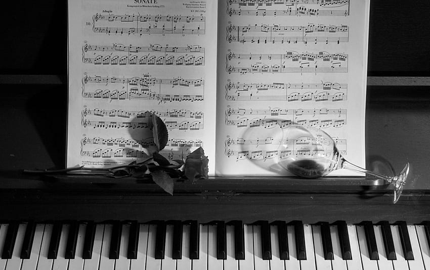 Love Song, notes, white, black, keys, rose, instrument, book, music, piano, flower, love, monochrome, glass, pages HD wallpaper
