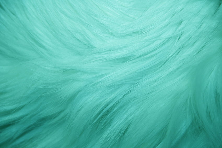 Teal Fur Texture High Resolution Dimensions 3888 [] for your , Mobile & Tablet. Explore Cool Teal . Pretty Teal , Teal Abstract , Cute Teal, Cool Turquoise Abstract HD wallpaper