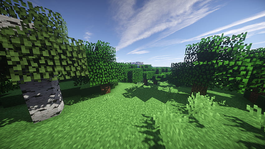 Minecraft Forest and Background HD wallpaper