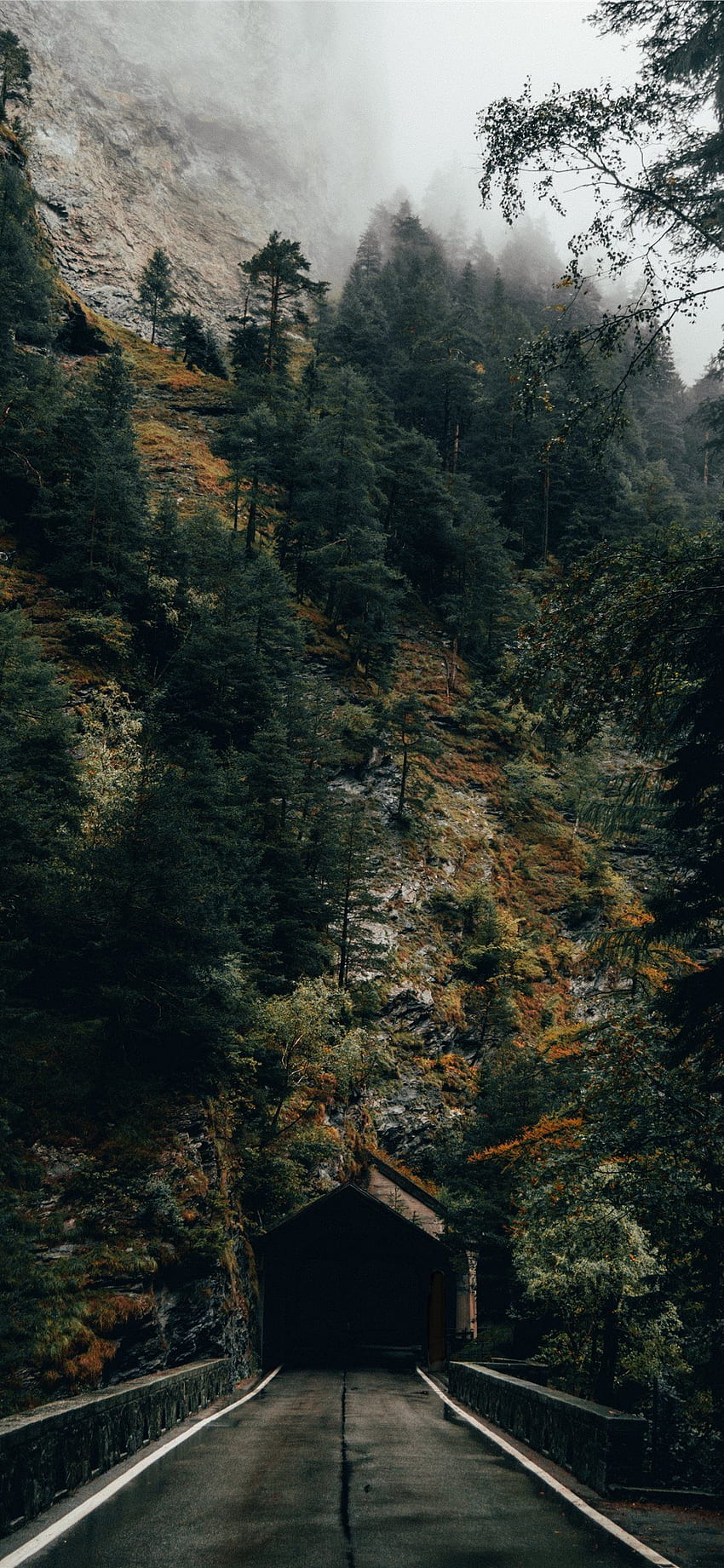Sonbahar ormanının önündeki karanlık tünel girişi iPhone X, Dark Fall HD telefon duvar kağıdı