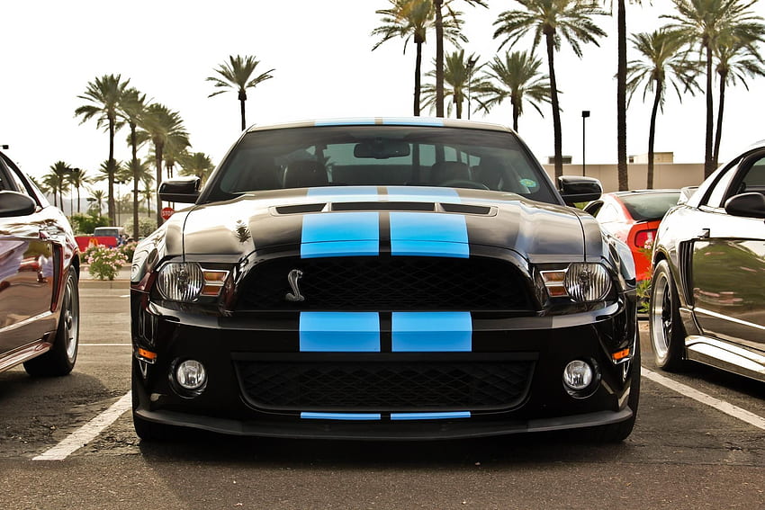 Ford Mustang, Muscle Cars, Blue Stripes, Black Paint, Shelby, Fast Mustang HD wallpaper
