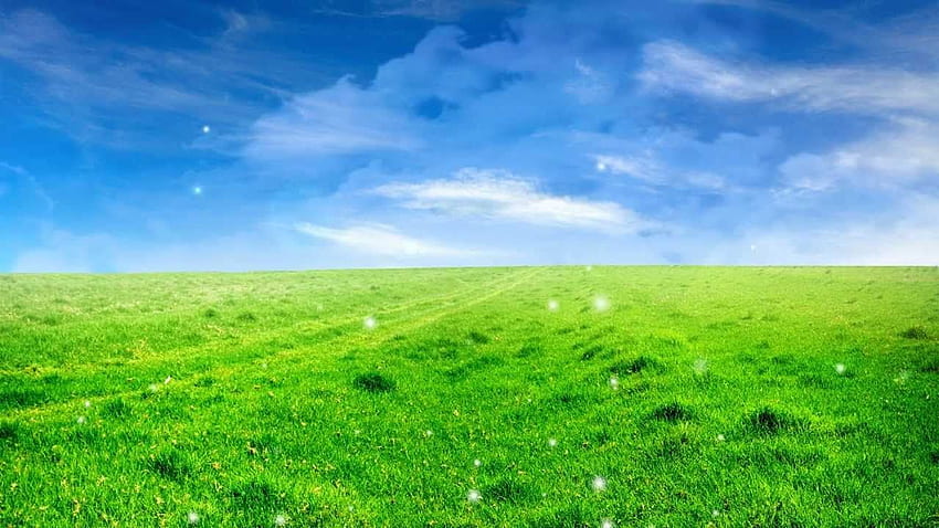 Naturalne Piękne - Tło Easyworship Pętla. Piękne tło, pole, błękitne niebo, niebieski zielony charakter Tapeta HD
