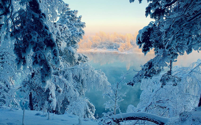 Winterzeit, Landschaft, Bäume, Sonnenschein, Schnee HD-Hintergrundbild