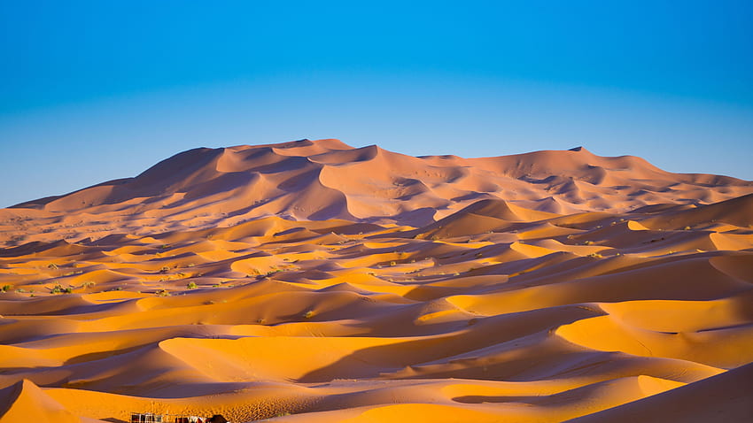 Sahara Desert , Merzouga, Morocco, Sand Dunes, Blue Sky, Nature, Sahara HD wallpaper