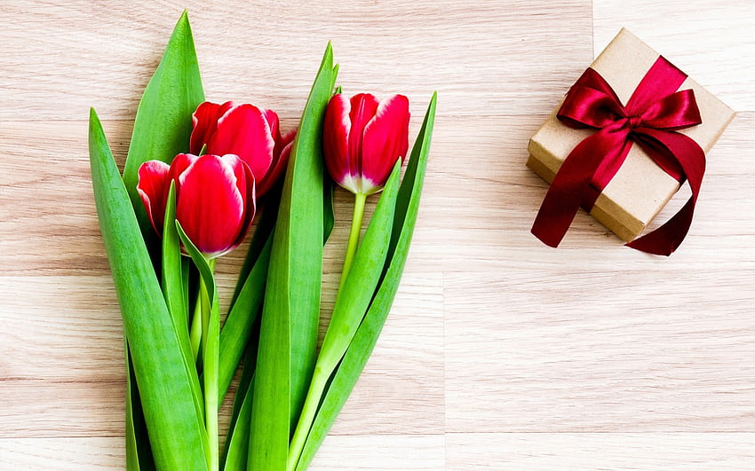 Tulipani rossi, amore, rosso, fiori, romantico, regalo, tulipani Sfondo HD