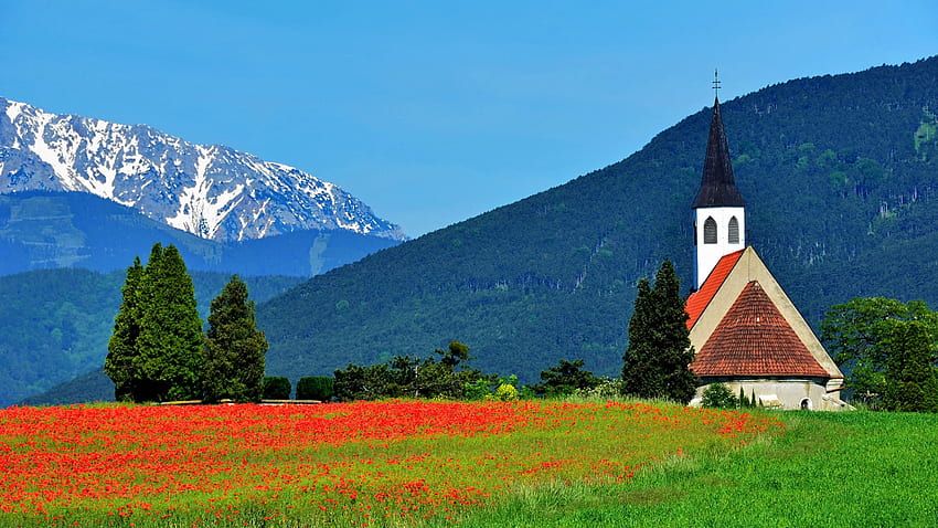 St. Peters Church, Snow mountain, Ternitz, Austria, flowers, alps, field, poppies, landscape, trees HD wallpaper