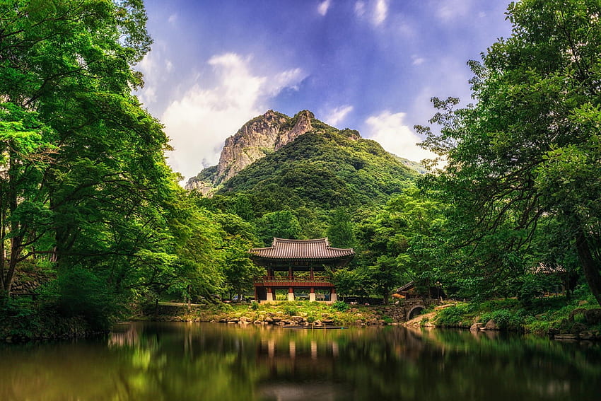 : trees, landscape, forest, mountains, garden, lake, South Korea Landscape HD wallpaper