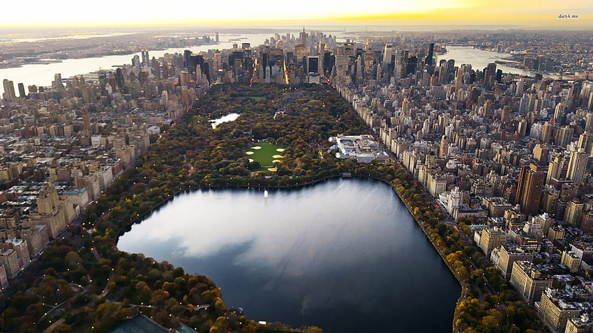 Central park new york city, Central Park Black and White HD wallpaper