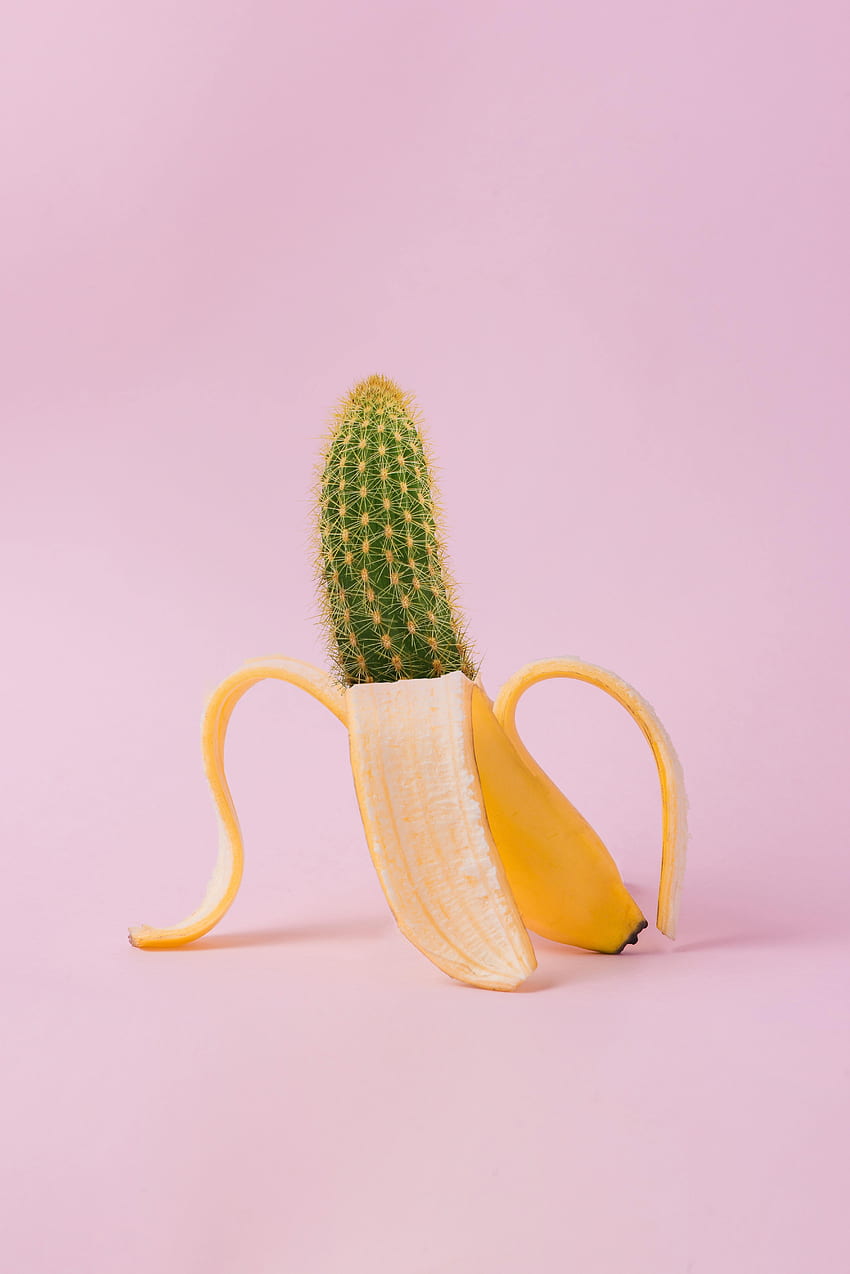 Minimalismus, Kaktus, Banane, Kreativ HD-Handy-Hintergrundbild