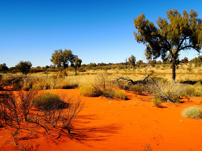 Pocztówka z Outbacku – XPLORE, australijska wieś Tapeta HD