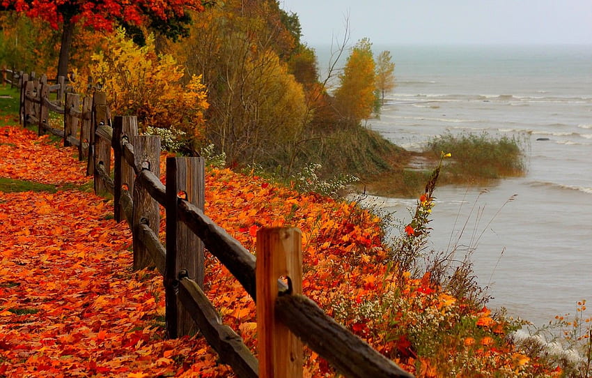 Autumn Beach Wallpapers  Top Free Autumn Beach Backgrounds   WallpaperAccess