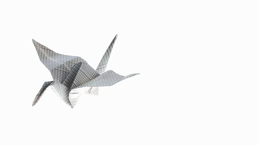 Beautiful origami crane animated. Origami crane flying in white HD wallpaper