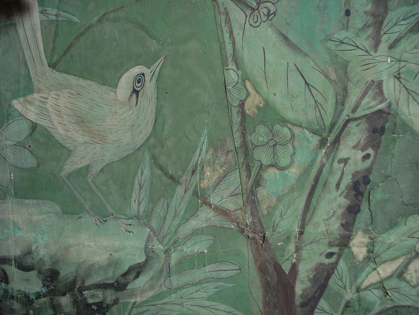 Une salle pleine d'oiseaux : XVIIIe siècle. Le blog Bentley, Chinois vert Fond d'écran HD