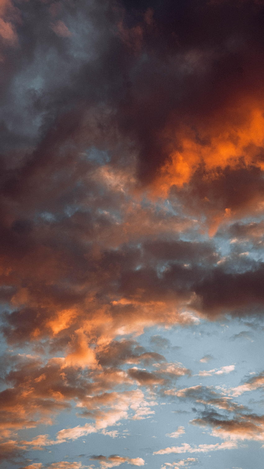 Nature, Sunset, Sky, Pink, Clouds, Evening HD phone wallpaper