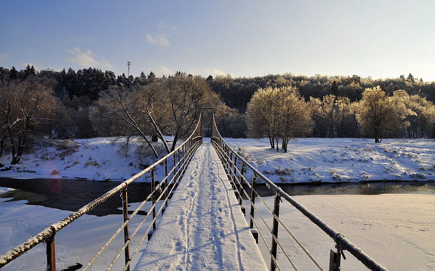 Winter bridge, winter, roe, alleys, nice, fence, snow, trees, care, snowy, house, cold, girl, tree, pretty, light, deer, cottage, lovely, home, ice, countryside, kindness, snowflakes, holiday, warmth, yard, painting, new year, frost, magic, frozen, mood, beautiful, meet, little, park, cabin, christmas, bridge, sky, forest, village HD wallpaper