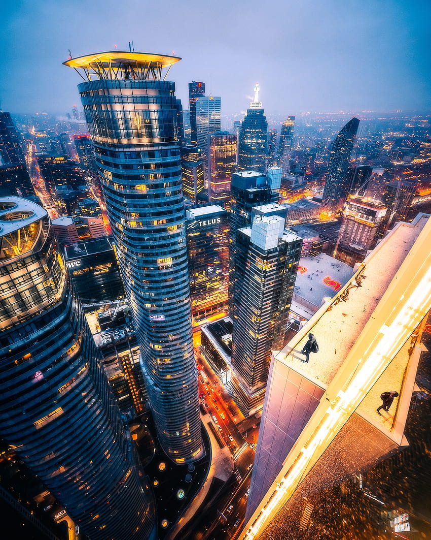 Cities, View From Above, Night City, Skyscrapers, Roof, Toronto HD phone wallpaper