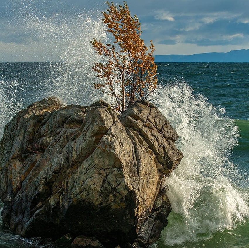 *On the wave*, sea, waves, seascapes, autumn, nature, seasons, rock, tree HD wallpaper