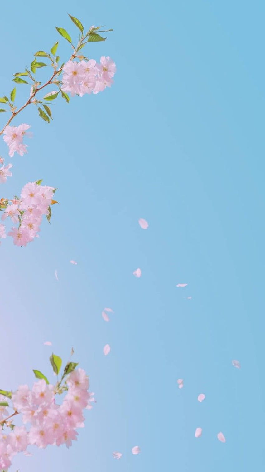 Anime Flower, Kawaii Flower HD phone wallpaper