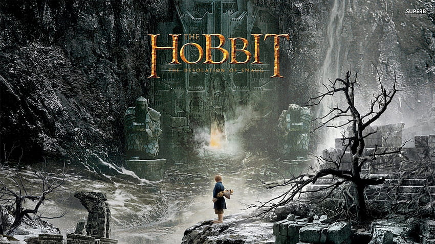 Smaug'un Hobbit Viranesi, Smaug, The, Hobbit, Desolation HD duvar kağıdı