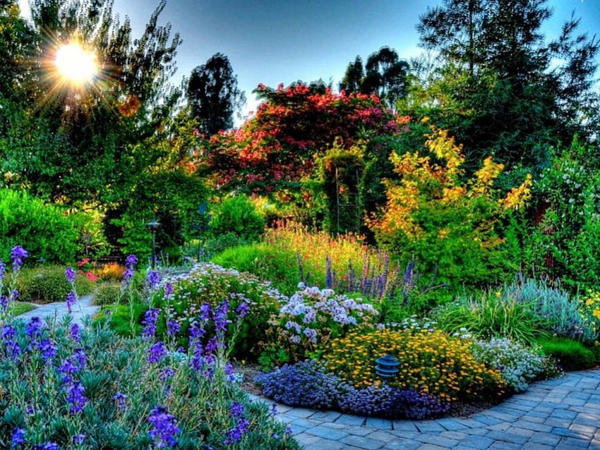 Garden Light, rays, colorful, path, garden, walkway, pretty, shine, flowers, sun HD wallpaper