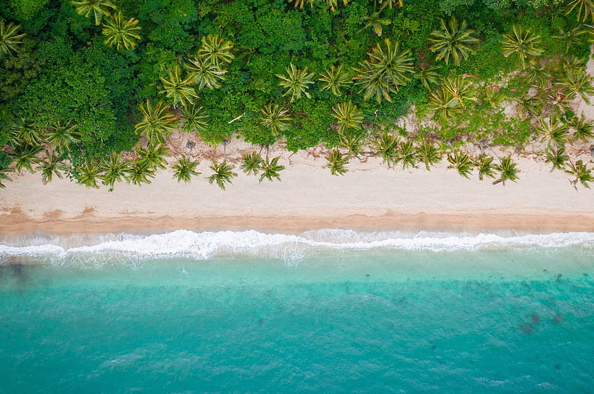 Coast, Palm Trees, Ocean, Water, Beach for Chromebook Pixel HD wallpaper