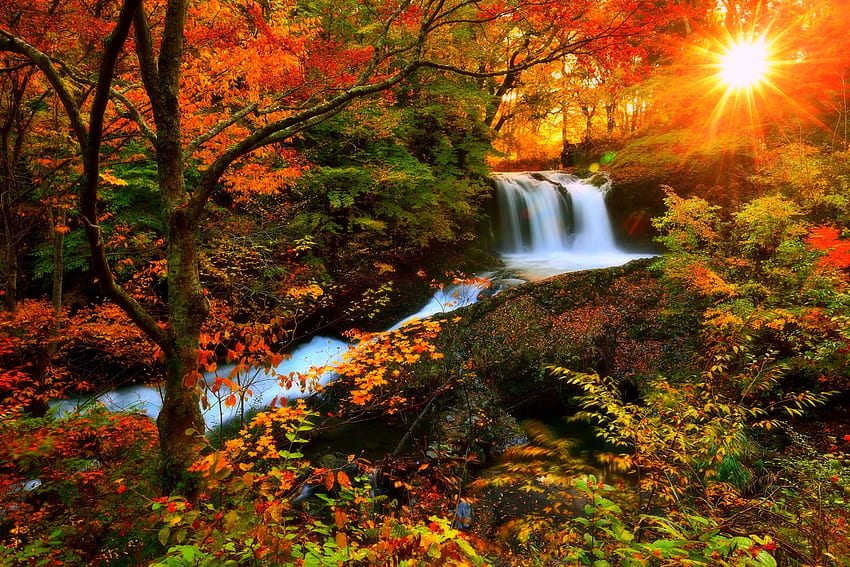 Autumn waterfalls, river, autumn, waterfalls, nature, forest HD wallpaper