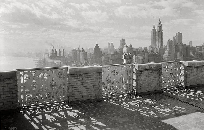 レトロ, , 植物, 白黒, ニューヨーク, , 超高層ビル, 遊び場, ニューヨーク, 12月, 鑑賞, 1931年, セクション 高画質の壁紙