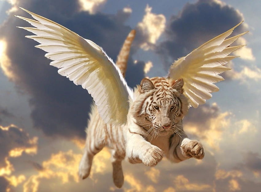 Fantasy tiger, wings, tigru, white, tiger, fantasy HD wallpaper