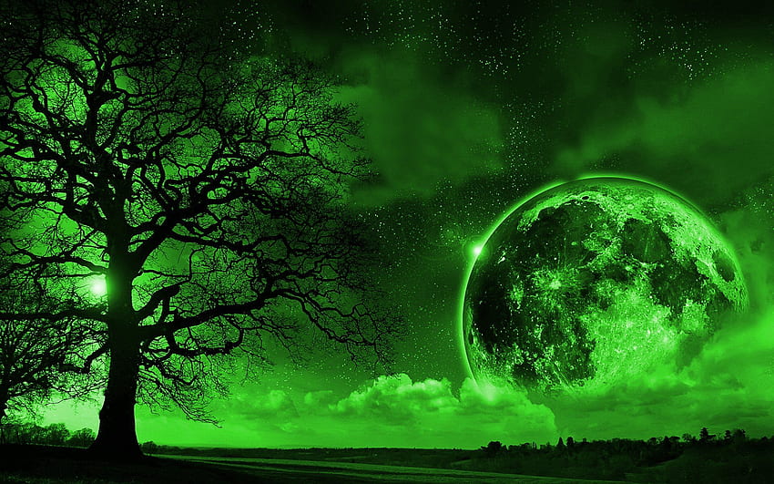 グリーンファンタジーワールド。 背景、緑の夜 高画質の壁紙