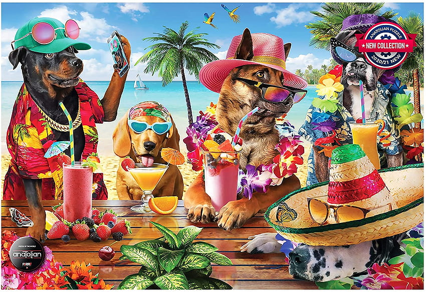 Dogs drinking at the beach bar, sea, dog, perre anatolian, art, tropical, beach, cocktail, summer, palm tree, funny, water, hat, caine, vara HD wallpaper