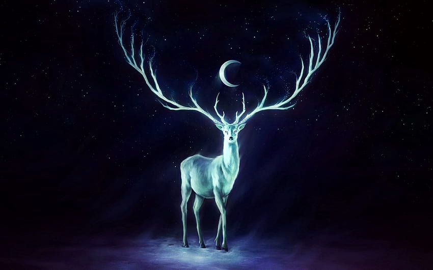 Fantasy, Stars, Moon, Deer, Horns HD wallpaper