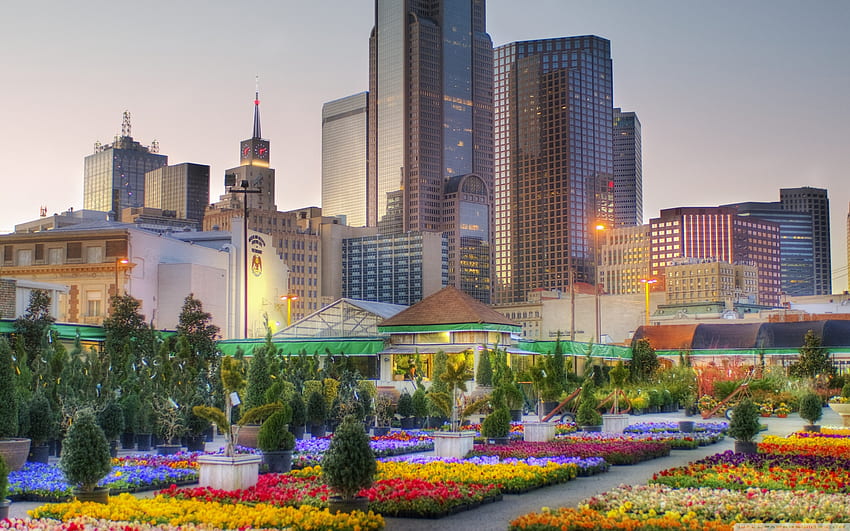 Downtown Dallas From The Flower Market Ultra Background for U TV : & UltraWide & Laptop : Tablet : Smartphone HD wallpaper
