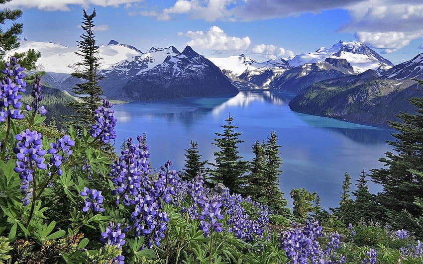 Kanada, pegunungan, musim semi, danau dengan resolusi . Kualitas Tinggi, Danau Musim Semi Wallpaper HD
