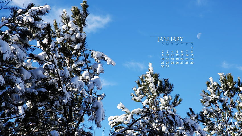 January | Top Q January , - Special . HD wallpaper | Pxfuel