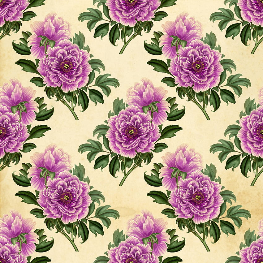Flowers Vintage Roses Stock - Public Domain, Purple Vintage Flower HD phone wallpaper