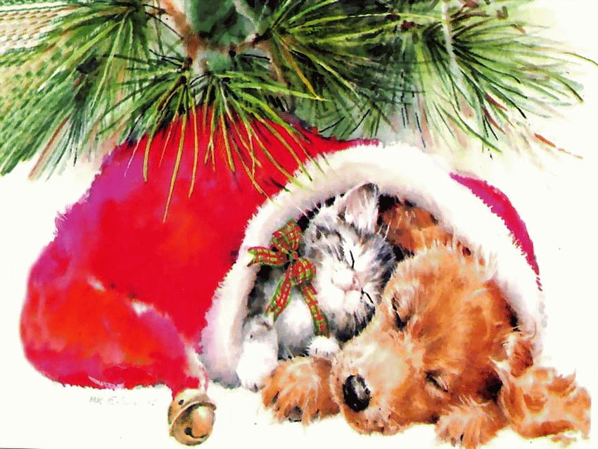 Christmas Pets, dog, kitten, gato, natal, cat, puppy, animals, pets, christmas, cachorro, santa HD wallpaper