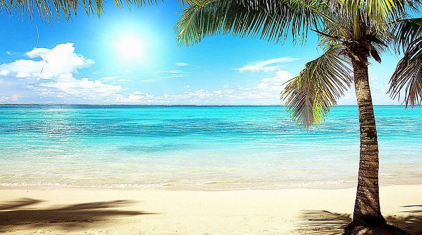 Florida Beach . HD wallpaper | Pxfuel