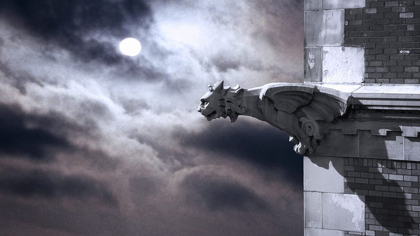 gargoyles, Moon, Clouds, Gothic, Gothic architecture, Urban, Night / and Mobile Background HD wallpaper