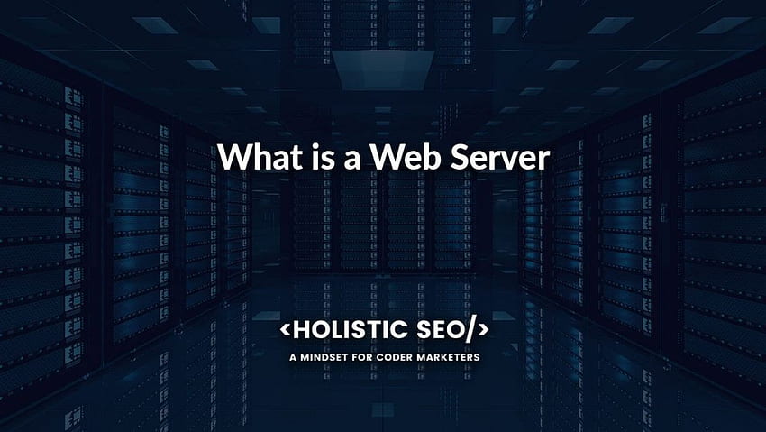 What is a Web Server: Definition, Example, Usage, and Overload - Holistic SEO HD wallpaper
