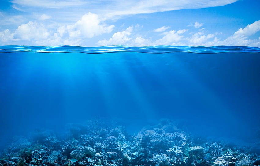 mer, l'océan, monde sous-marin, sous-marin, océan, poissons, tropical, récif, corail, récif corallien pour , section природа - Fond d'écran HD