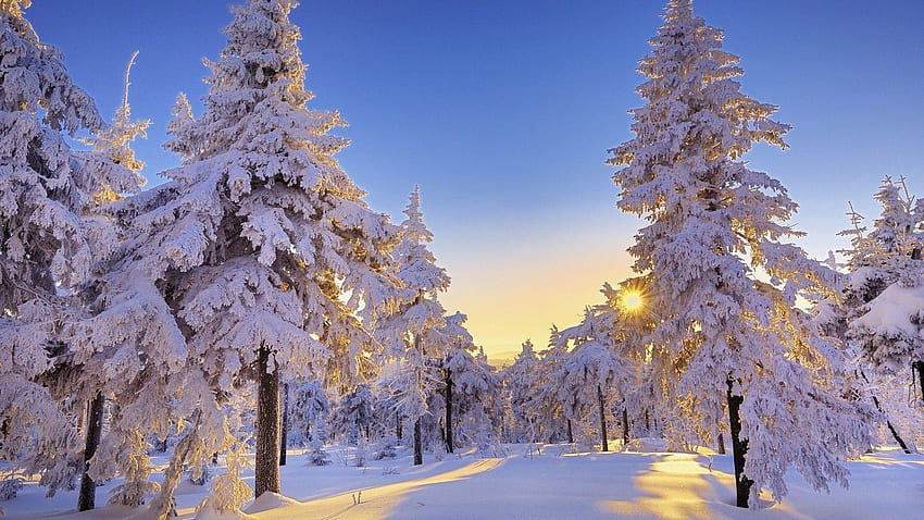 Texas Landscape Winter HD wallpaper
