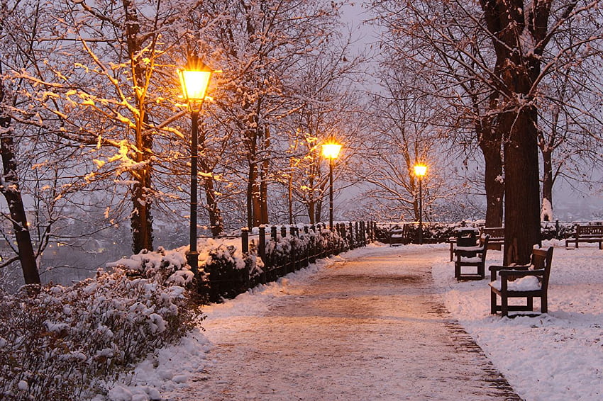 체코 공화국 브르노 자연 겨울 눈 공원 벤치 저녁 HD 월페이퍼