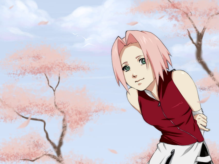 Sakura, naruto, cherry blossom trees, anime, sakura haruno HD wallpaper