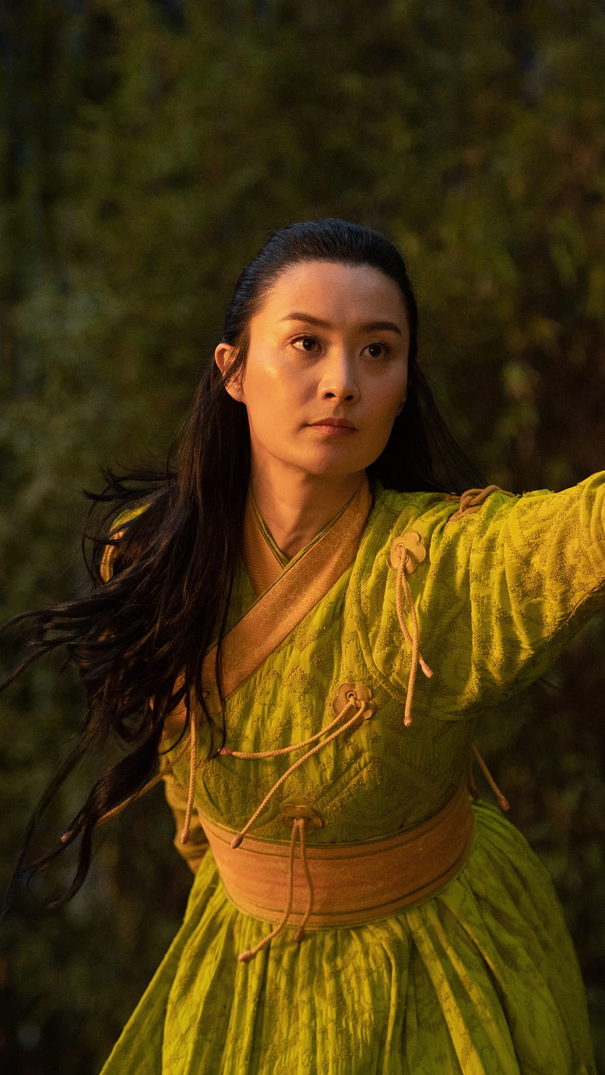 shang chi jiang li