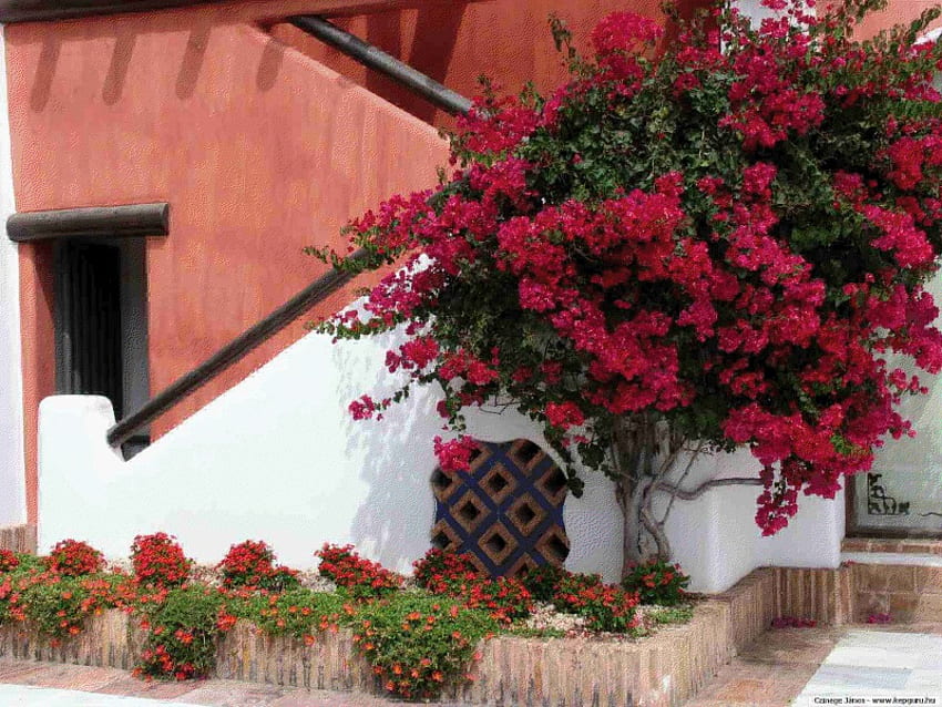 piękne podwórko, podwórko, piękny, patio, dom Tapeta HD