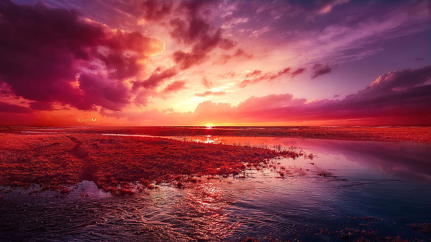 nature-dream-laptop-full-pink-nature-hd-wallpaper-pxfuel