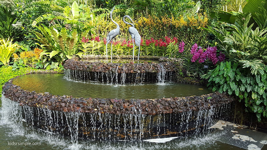 Singapore Botanic Gardens in Singapore, Singapore Flower HD wallpaper ...