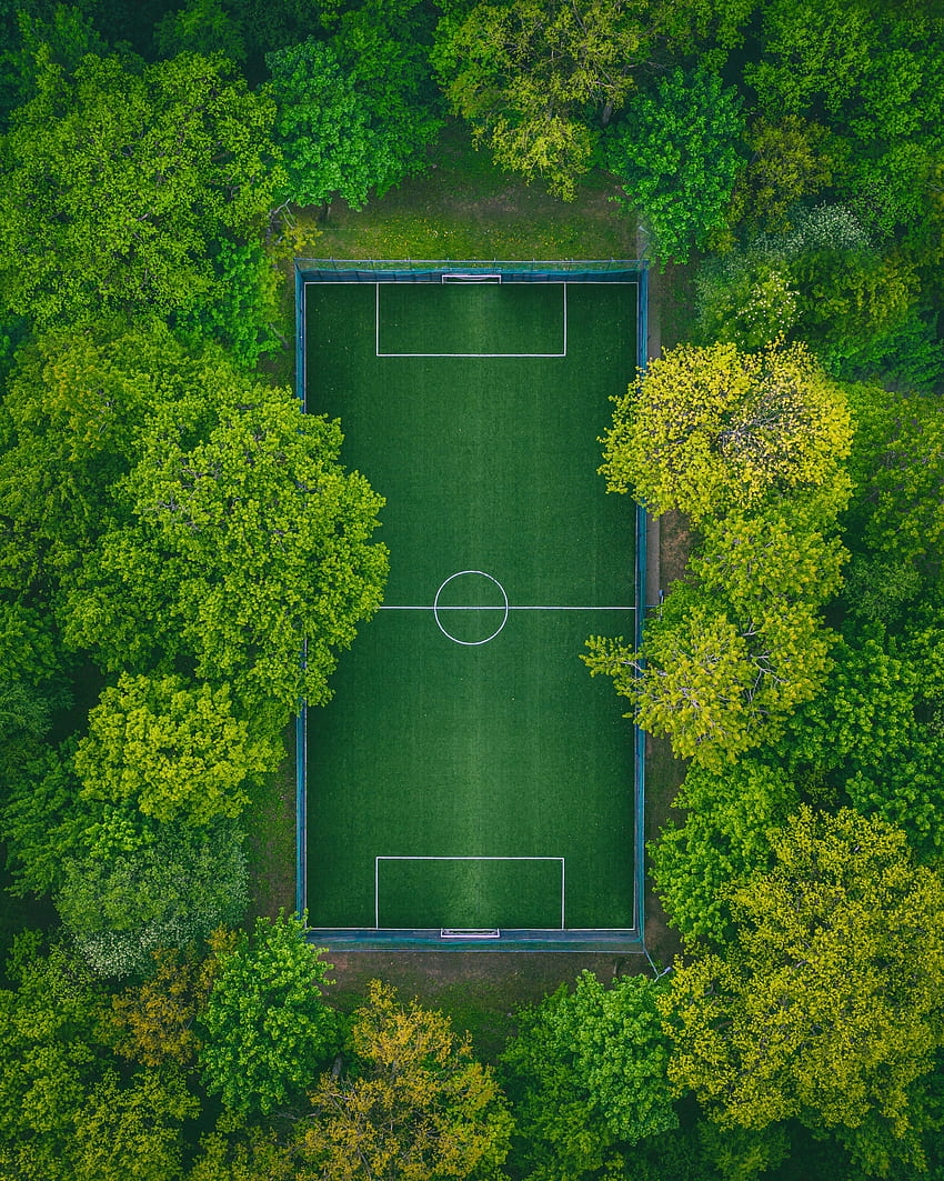 サッカー場, スポーツ, 木, 上からの眺め, 遊び場, プラットフォーム HD電話の壁紙