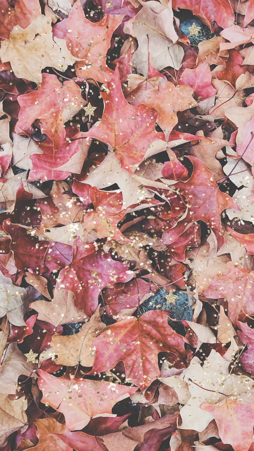 Amazing Fall Background For iPhone, Autumn Leaves Phone HD phone ...